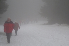 Wanderung zum Schneekopf am 16.01.2011