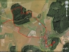 henneberg
