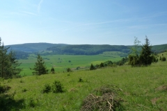 Wiesenthaler Schweiz am 22.05.2011